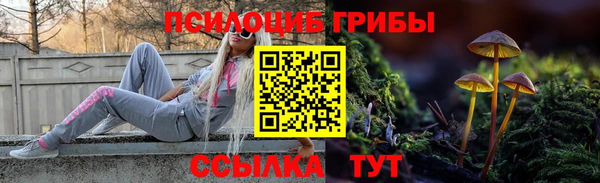 закладка  Вход с VPN  Нижневартовск  Псилоцибиновые грибы Psilocybine cubensis 